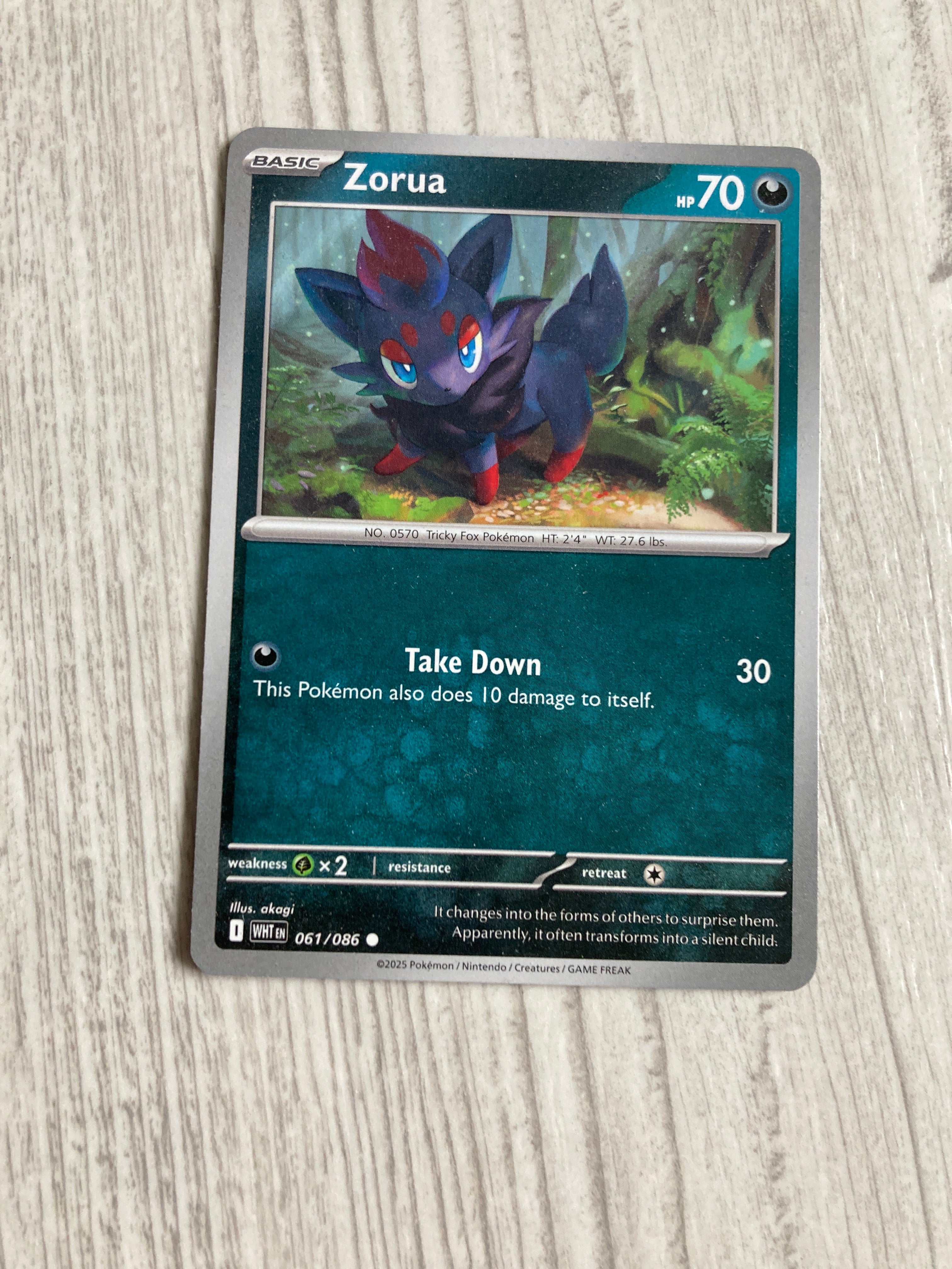 Pokémon Zorua 061/086 Common White Flare EN